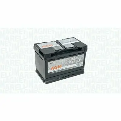 Echt Magneti Marelli 069070760009